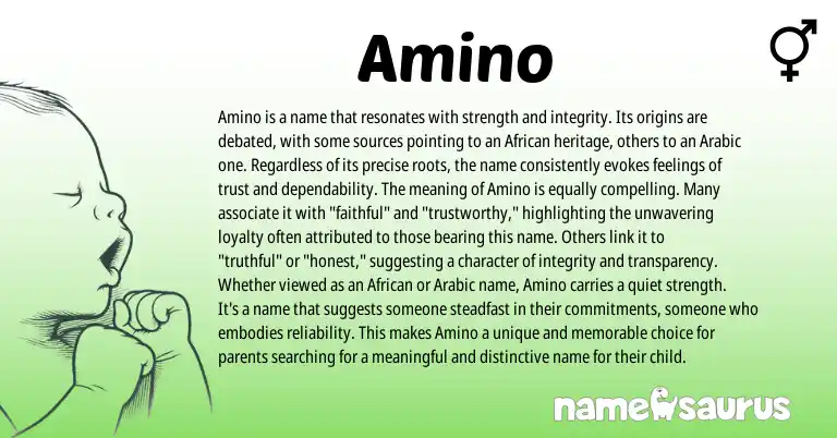 Infographic about Amino name meaning, Amino is a name from African origin(s).