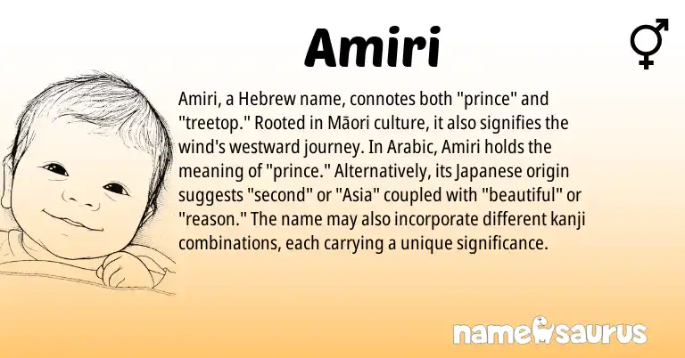 Infographic about Amiri name meaning, Amiri is a name from Arabic, Japanese, Hebrew origin(s).