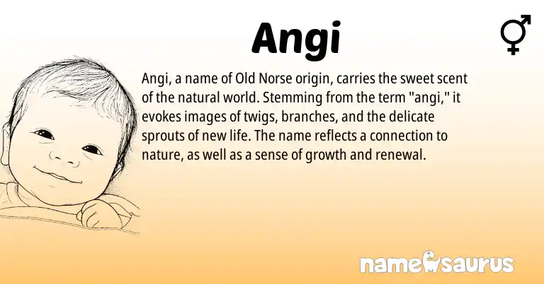 Infographic about Angi name meaning, Angi is a name from Old Norse origin(s).