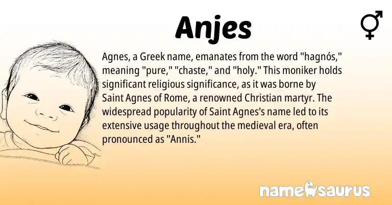 Infographic about Anjes name meaning, Anjes is a name from Greek origin(s).