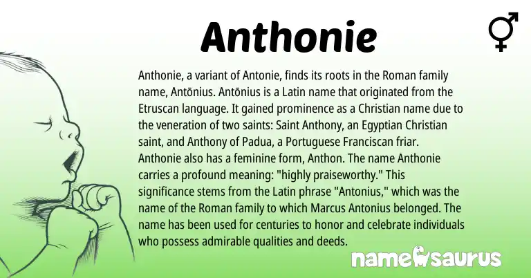 Infographic about Anthonie name meaning, Anthonie is a name from Etruscan, Roman, Latin, Egyptian, Portuguese origin(s).
