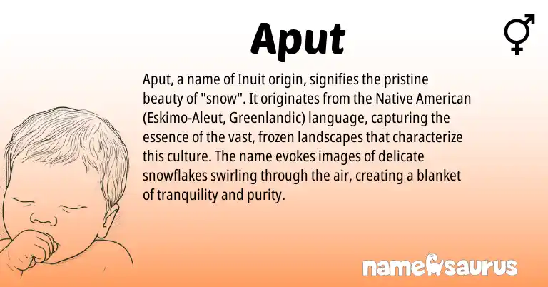 Infographic about Aput name meaning, Aput is a name from Native American, Aleut, Inuit, Greenlandic origin(s).
