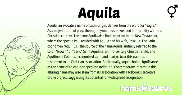 Infographic about Aquila name meaning, Aquila is a name from Latin origin(s).