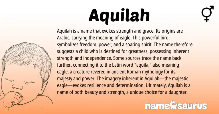 Infographic about Aquilah name meaning, Aquilah is a name from Arabic origin(s).