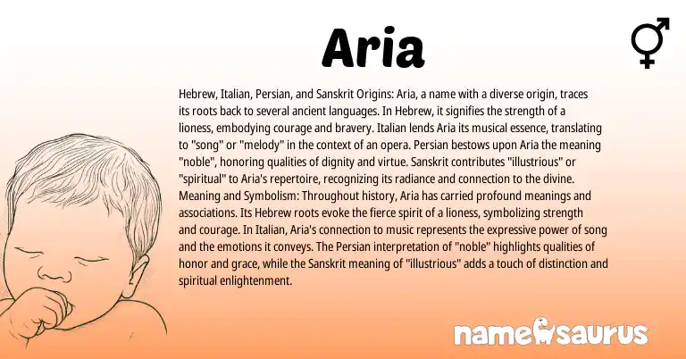 Infographic about Aria name meaning, Aria is a name from Sanskrit, Persian, Hebrew, Italian origin(s).