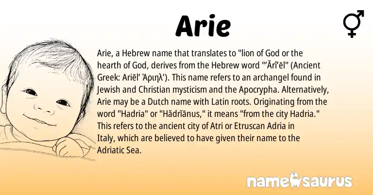 Infographic about Arie name meaning, Arie is a name from Ancient Greek, Etruscan, Latin, Jewish, Dutch, Hebrew origin(s).