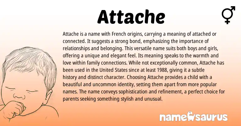 Infographic about Attache name meaning, Attache is a name from French origin(s).