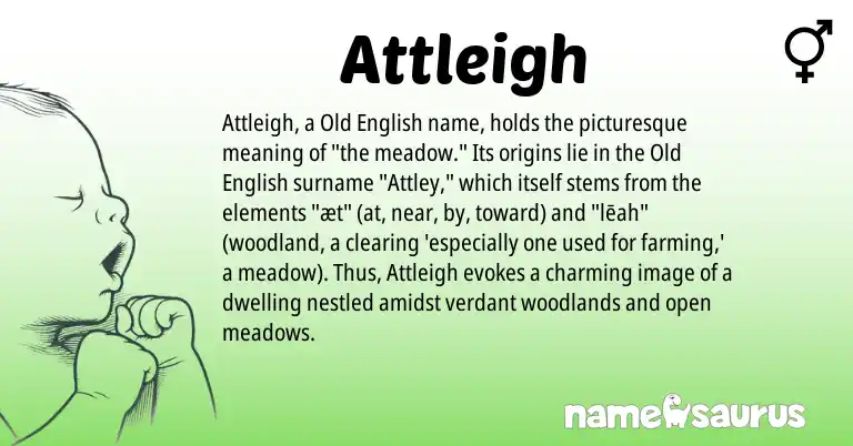 Infographic about Attleigh name meaning, Attleigh is a name from Old English origin(s).