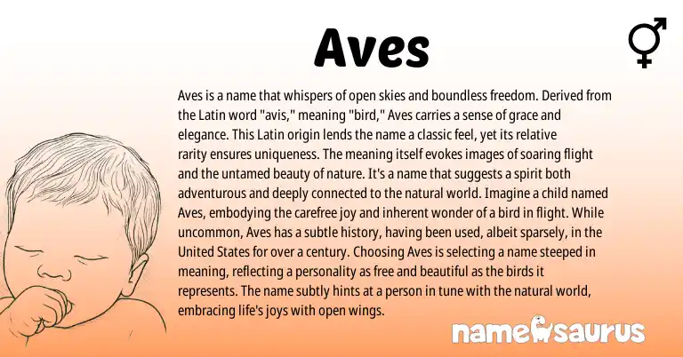 Infographic about Aves name meaning, Aves is a name from Latin origin(s).