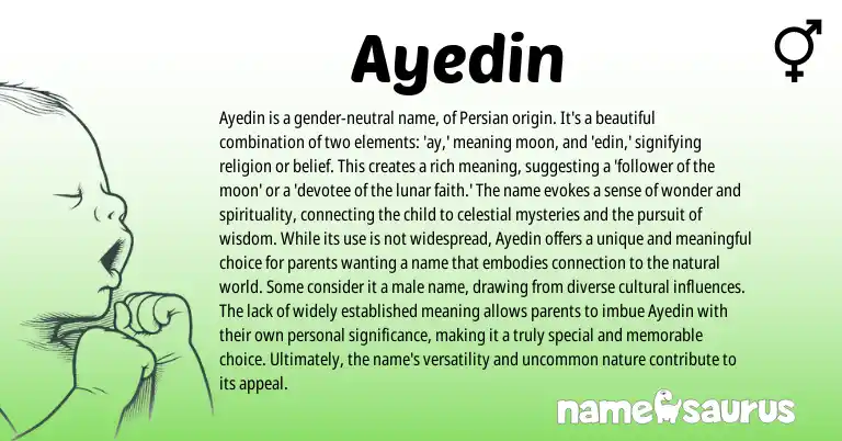 Infographic about Ayedin name meaning, Ayedin is a name from Persian origin(s).