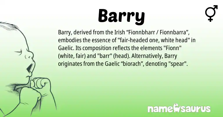 Infographic about Barry name meaning, Barry is a name from Irish, Gaelic origin(s).