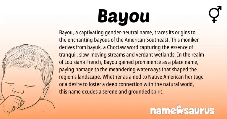 Infographic about Bayou name meaning, Bayou is a name from Native American, French, Choctaw, American origin(s).