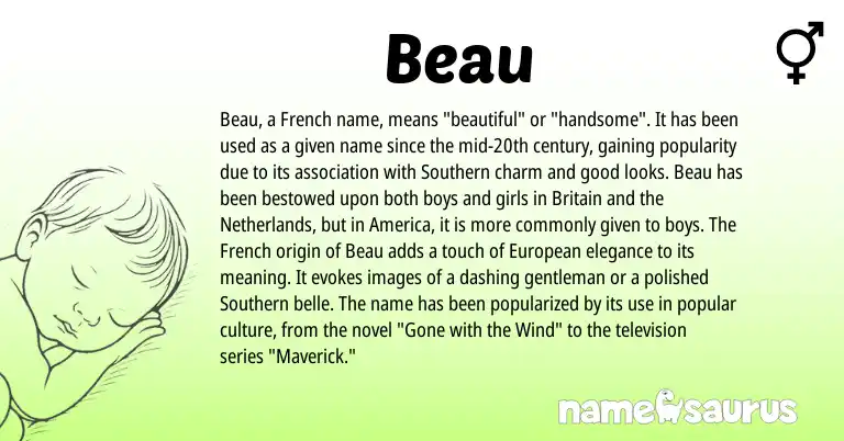 Infographic about Beau name meaning, Beau is a name from Netherlands, French, European origin(s).