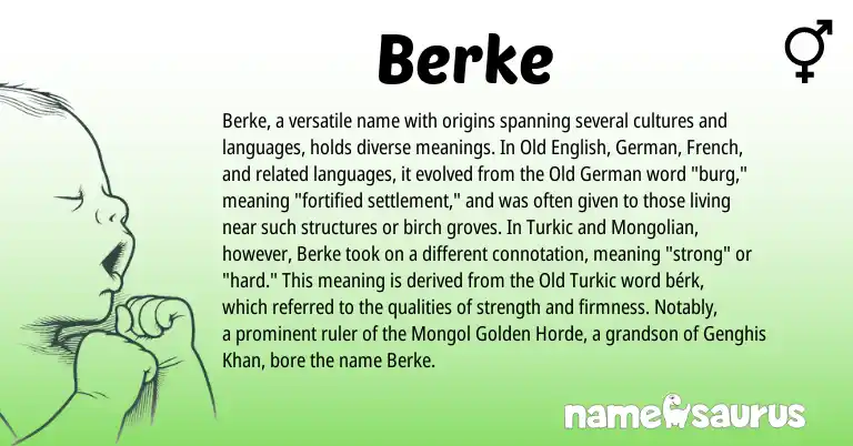 Infographic about Berke name meaning, Berke is a name from German, French, Mongolian, Old German, Old English origin(s).