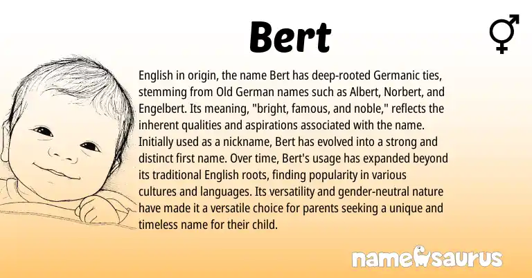 Infographic about Bert name meaning, Bert is a name from Old German, English, Germanic origin(s).