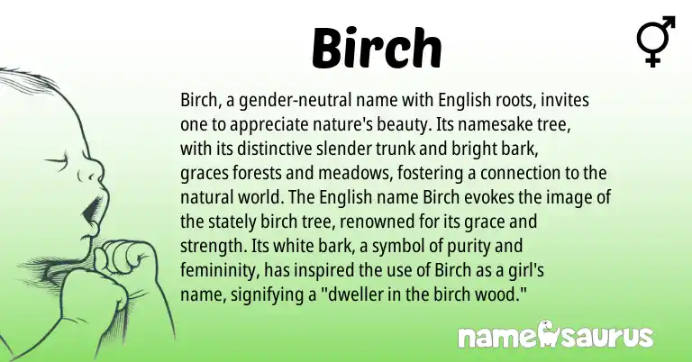 Infographic about Birch name meaning, Birch is a name from English origin(s).