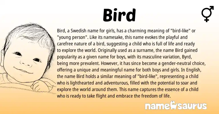 Infographic about Bird name meaning, Bird is a name from English, Swedish origin(s).