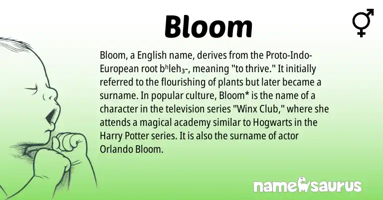 Infographic about Bloom name meaning, Bloom is a name from English, European origin(s).
