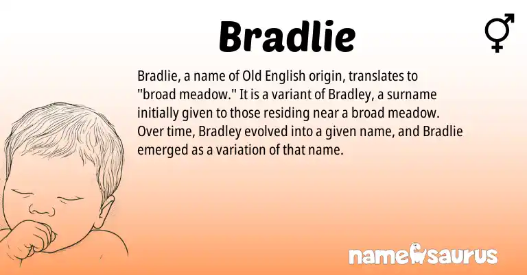 Infographic about Bradlie name meaning, Bradlie is a name from Old English origin(s).