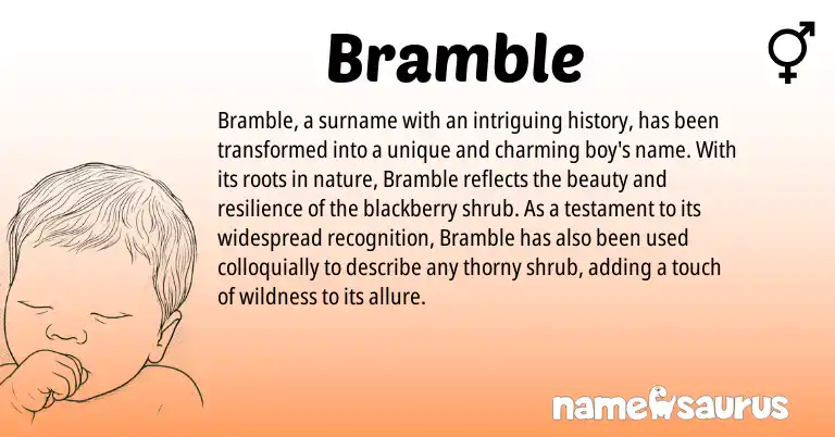 Infographic about Bramble name meaning, Bramble is a name from N/A origin(s).