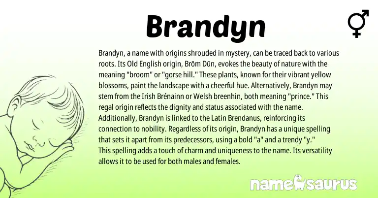 Infographic about Brandyn name meaning, Brandyn is a name from Irish, Old English, Welsh, Latin origin(s).