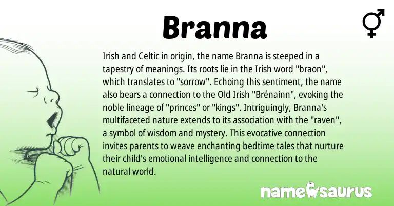 Infographic about Branna name meaning, Branna is a name from Irish, Celtic, Old Irish origin(s).