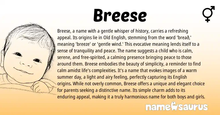 Infographic about Breese name meaning, Breese is a name from English origin(s).