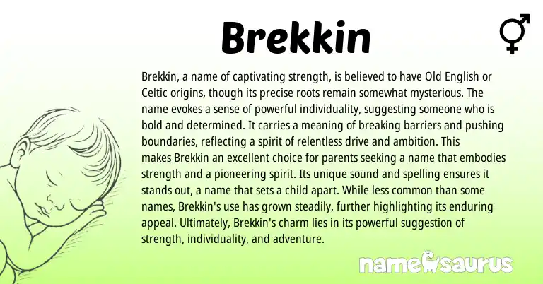 Infographic about Brekkin name meaning, Brekkin is a name from English, Celtic origin(s).