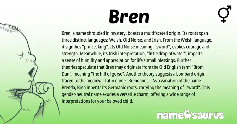 Infographic about Bren name meaning, Bren is a name from Irish, Old Norse, Welsh, Latin, Germanic, Old English, Lombard origin(s).
