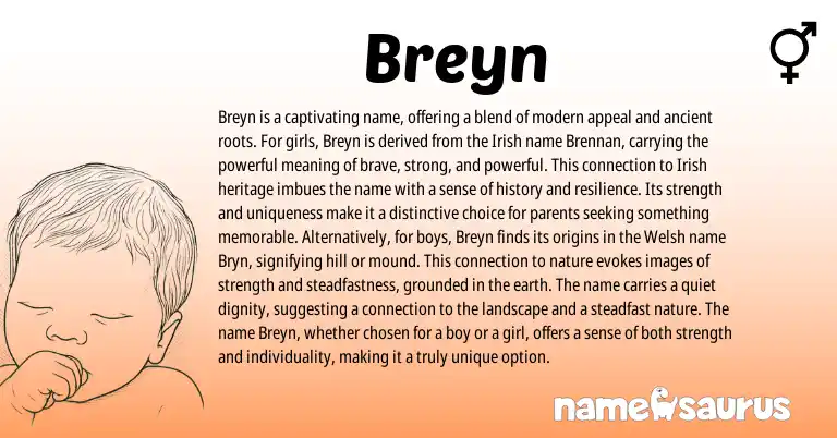 Infographic about Breyn name meaning, Breyn is a name from Welsh, Irish origin(s).
