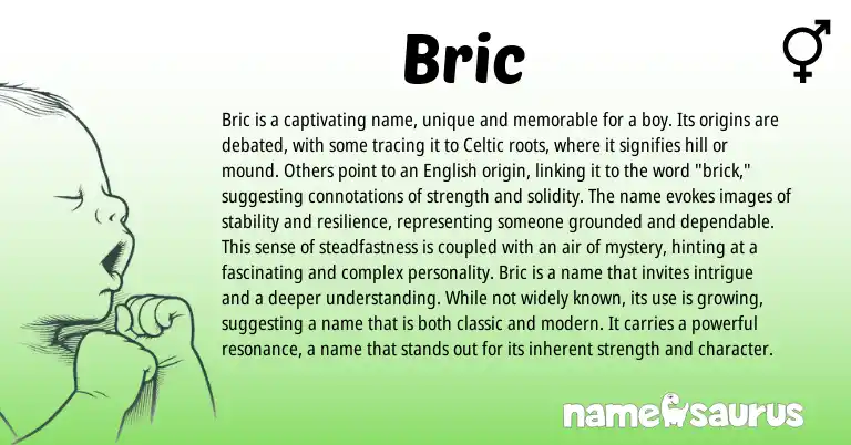 Infographic about Bric name meaning, Bric is a name from Celtic origin(s).