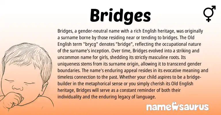 Infographic about Bridges name meaning, Bridges is a name from Old English, English origin(s).