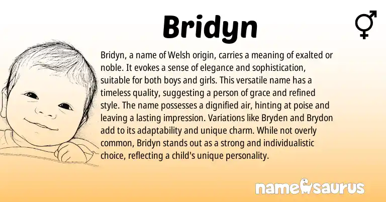 Infographic about Bridyn name meaning, Bridyn is a name from Welsh origin(s).