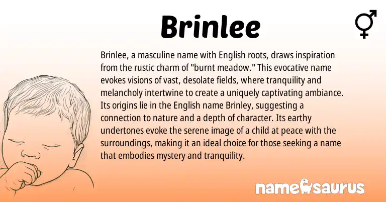 Infographic about Brinlee name meaning, Brinlee is a name from English origin(s).