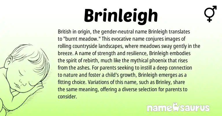 Infographic about Brinleigh name meaning, Brinleigh is a name from British origin(s).