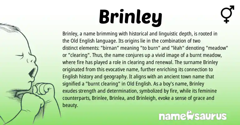 Infographic about Brinley name meaning, Brinley is a name from Old English, English origin(s).