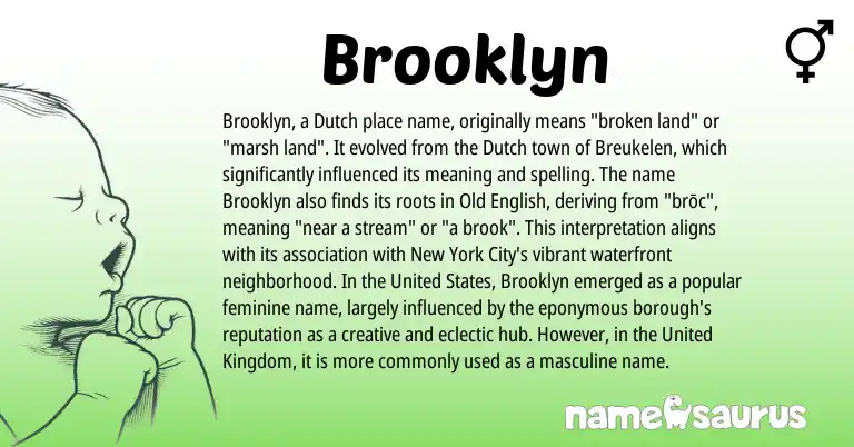 Infographic about Brooklyn name meaning, Brooklyn is a name from Old English, Dutch, United Kingdom, United States origin(s).