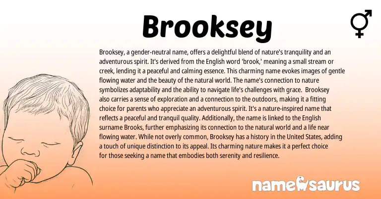 Infographic about Brooksey name meaning, Brooksey is a name from English origin(s).