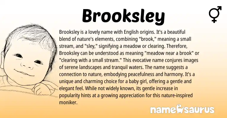 Infographic about Brooksley name meaning, Brooksley is a name from English origin(s).
