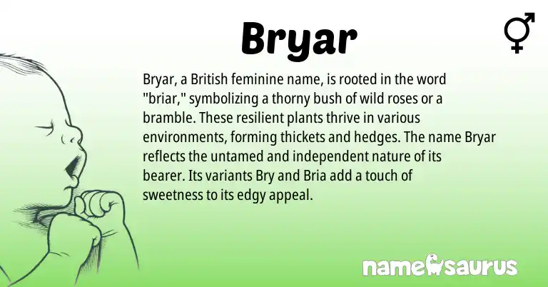 Infographic about Bryar name meaning, Bryar is a name from British origin(s).