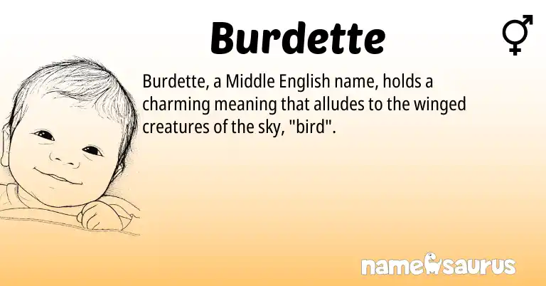 Infographic about Burdette name meaning, Burdette is a name from Middle English origin(s).