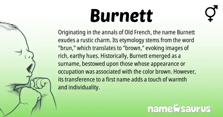 Infographic about Burnett name meaning, Burnett is a name from Old French origin(s).