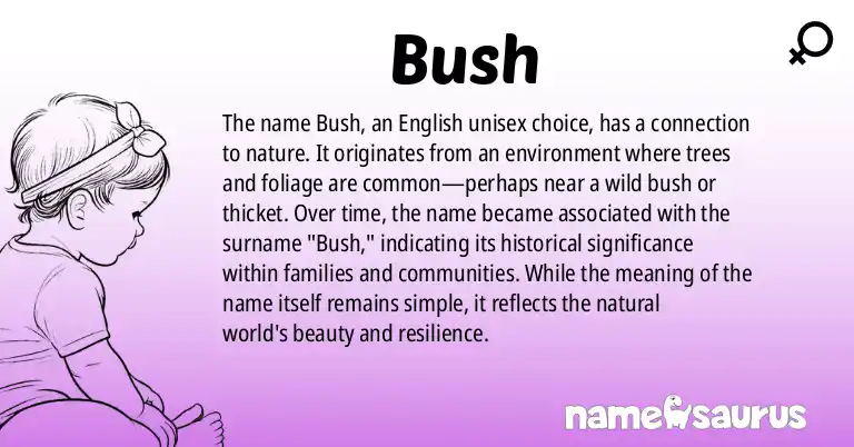 Infographic about Bush name meaning, Bush is a name from English origin(s).