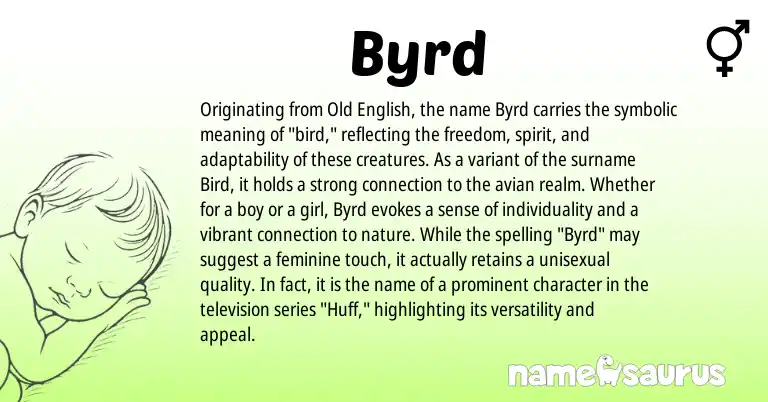 Infographic about Byrd name meaning, Byrd is a name from Old English origin(s).