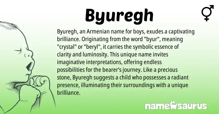 Infographic about Byuregh name meaning, Byuregh is a name from Armenian origin(s).