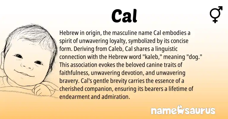 Infographic about Cal name meaning, Cal is a name from Hebrew origin(s).