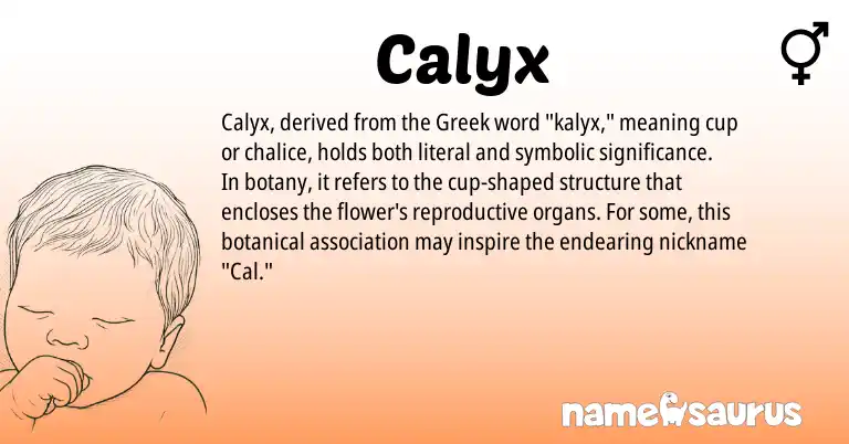 Infographic about Calyx name meaning, Calyx is a name from Greek origin(s).