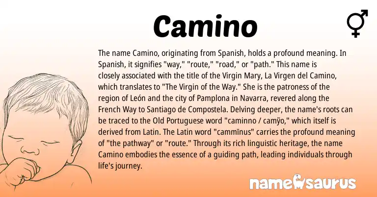 Infographic about Camino name meaning, Camino is a name from Spanish, French, Latin, Portuguese origin(s).