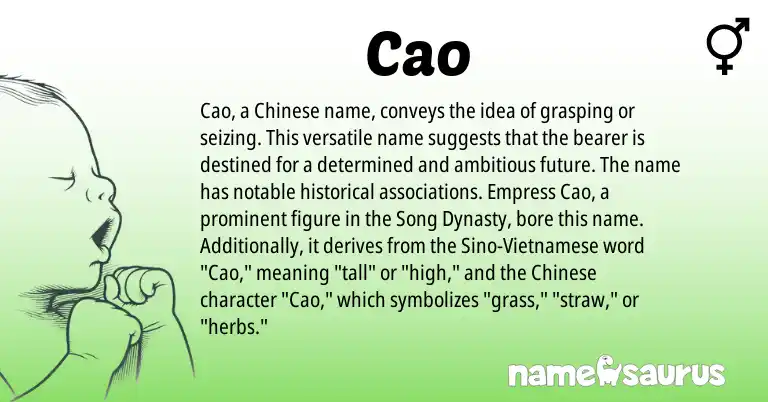 Infographic about Cao name meaning, Cao is a name from Chinese, Vietnamese origin(s).