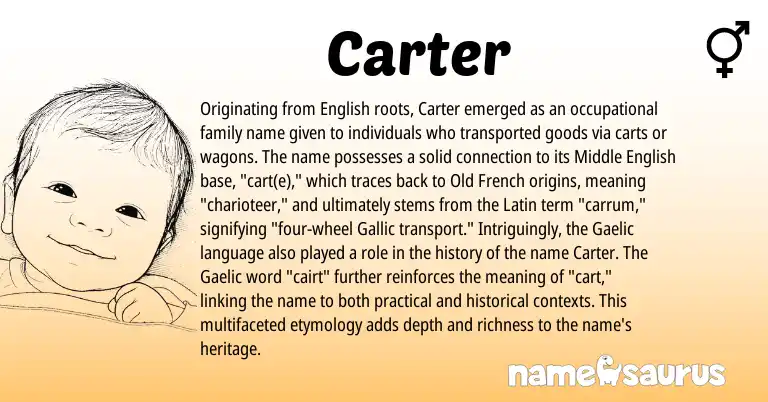 Infographic about Carter name meaning, Carter is a name from English, Old French, Gaelic, Latin, Middle English origin(s).